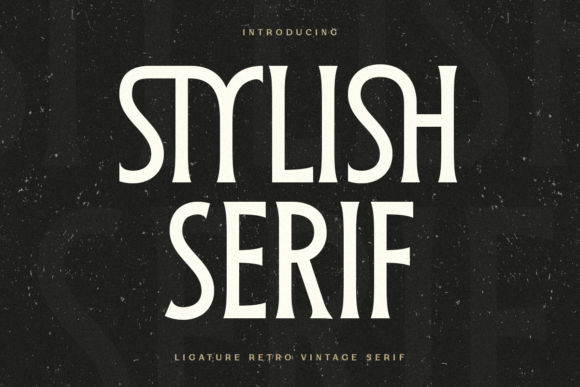 Stylish Serif: A Modern Retro Vintage Font